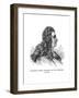 Nicodemus Tessin-null-Framed Giclee Print