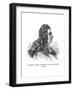 Nicodemus Tessin-null-Framed Giclee Print