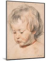 Nicolaas Rubens Wearing a Coral Neckless, c.1619-20-Peter Paul Rubens-Mounted Giclee Print