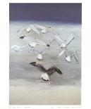 Seagulls-Nicolas De Stael-Collectable Print