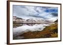 Chelsea Espresso