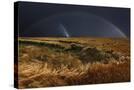 Stretched Canvas