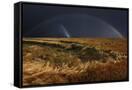 Canvas Black