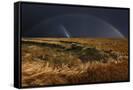 Canvas Black