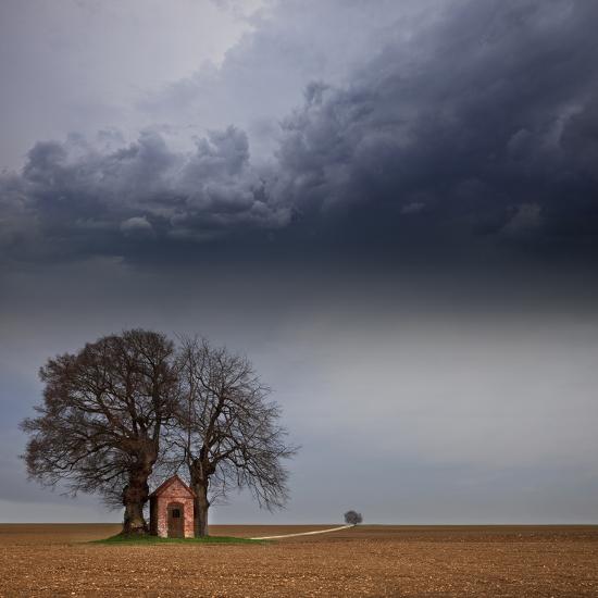 Premium Photographic Print, , large