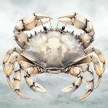 Cape Cod Crab-Nicole DeCamp-Framed Art Print