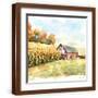 Brown Frame
