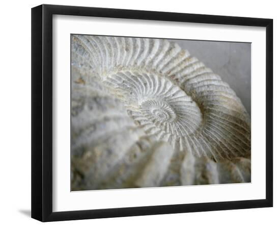 Photo, , large