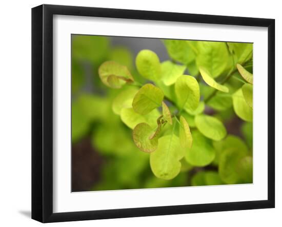 Photo, , large