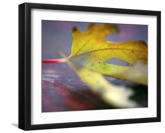 Photo, , large