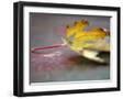 Black Frame