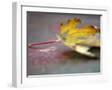 White Frame