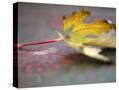 Stretched Canvas
