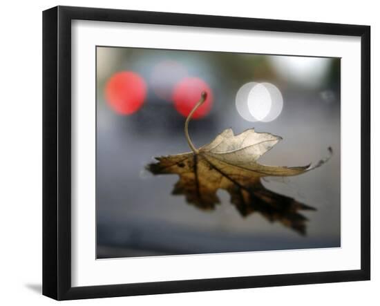 Photo, , large