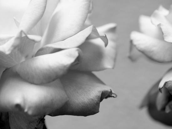 Photo, , large