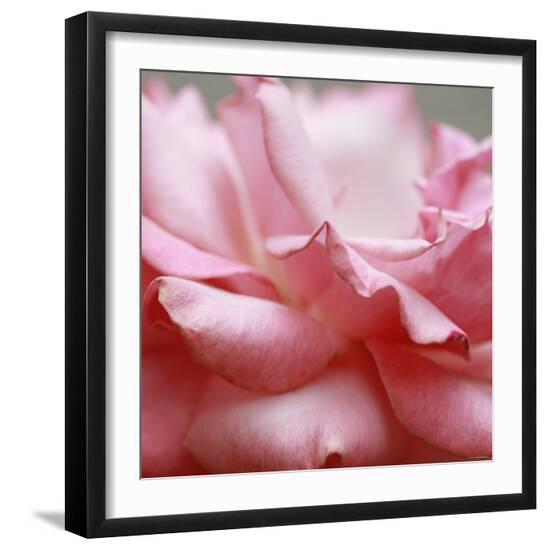 Photo, , large