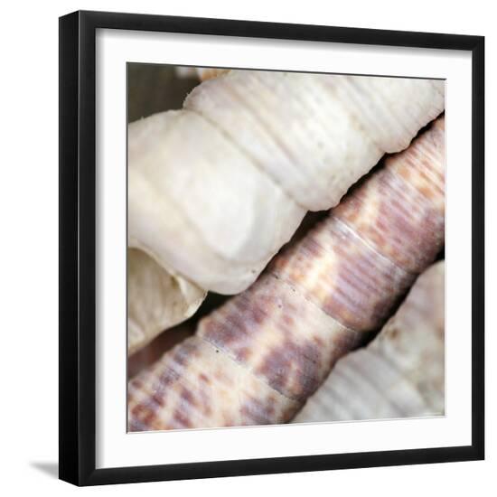 Photo, , large