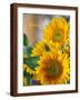Brown Frame