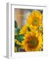 White Frame