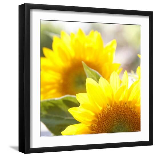 Photo, , large