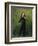 Nicolo Paganini, after 1830-Georg Friedrich Kersting-Framed Giclee Print