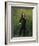 Nicolo Paganini, after 1830-Georg Friedrich Kersting-Framed Giclee Print