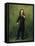 Nicolo Paganini, after 1830-Georg Friedrich Kersting-Framed Stretched Canvas
