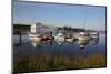 Nicomekl River Marina Morning-digimax-Mounted Photographic Print