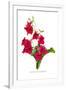 Nicotiana Sanderae-H.g. Moon-Framed Art Print