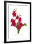 Nicotiana Sanderae-H.g. Moon-Framed Art Print