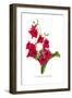 Nicotiana Sanderae-H.g. Moon-Framed Art Print