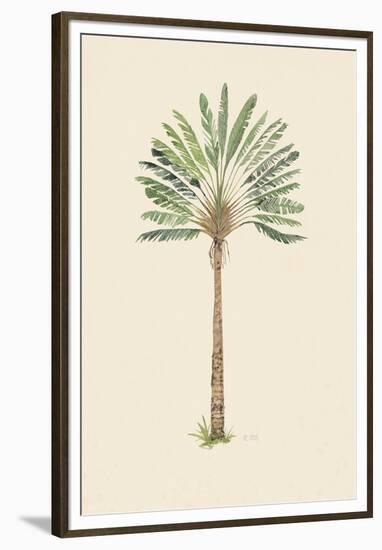 Nicoya-The Vintage Collection-Framed Giclee Print