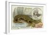 Nicrosaurus and Crocodile-null-Framed Giclee Print