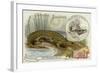 Nicrosaurus and Crocodile-null-Framed Giclee Print