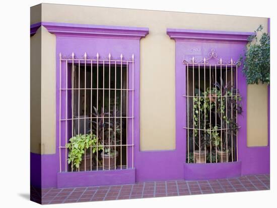 Nid Art Gallery, Old Town District, Mazatlan, Sinaloa State, Mexico, North America-Richard Cummins-Stretched Canvas