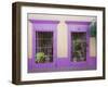 Nid Art Gallery, Old Town District, Mazatlan, Sinaloa State, Mexico, North America-Richard Cummins-Framed Premium Photographic Print