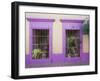 Nid Art Gallery, Old Town District, Mazatlan, Sinaloa State, Mexico, North America-Richard Cummins-Framed Premium Photographic Print