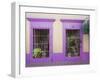 Nid Art Gallery, Old Town District, Mazatlan, Sinaloa State, Mexico, North America-Richard Cummins-Framed Premium Photographic Print