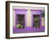 Nid Art Gallery, Old Town District, Mazatlan, Sinaloa State, Mexico, North America-Richard Cummins-Framed Photographic Print