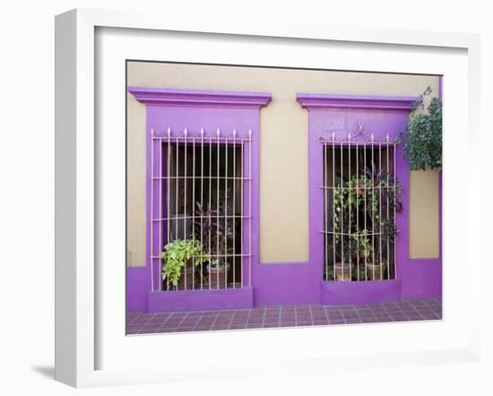 Nid Art Gallery, Old Town District, Mazatlan, Sinaloa State, Mexico, North America-Richard Cummins-Framed Photographic Print