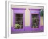 Nid Art Gallery, Old Town District, Mazatlan, Sinaloa State, Mexico, North America-Richard Cummins-Framed Photographic Print