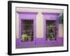 Nid Art Gallery, Old Town District, Mazatlan, Sinaloa State, Mexico, North America-Richard Cummins-Framed Photographic Print