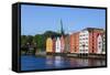 Nidaros Cathedral, Old Fishing Warehouses and Gamle Bybro, Trondheim-Doug Pearson-Framed Stretched Canvas