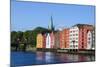 Nidaros Cathedral, Old Fishing Warehouses and Gamle Bybro, Trondheim-Doug Pearson-Mounted Photographic Print