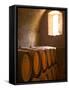 Niebaum-Coppola Estate Winery Wine Cellar, Rutherford, Napa Valley, California-Walter Bibikow-Framed Stretched Canvas