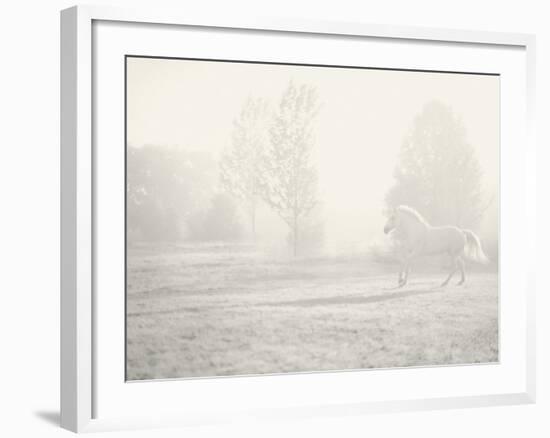Niebla Blanco-Shana Rae-Framed Giclee Print