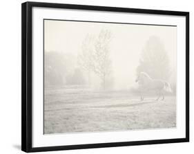 Niebla Blanco-Shana Rae-Framed Giclee Print