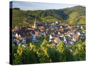 Niedermorschwihr, Alsace, France-Peter Adams-Stretched Canvas