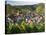 Niedermorschwihr, Alsace, France-Peter Adams-Stretched Canvas