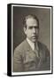 Niels Henrik David Bohr Danish Physicist-null-Framed Stretched Canvas